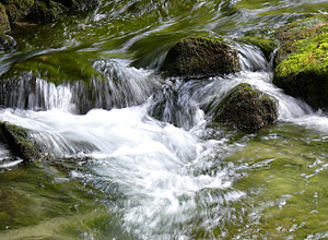 Osteopathie fr Frauen